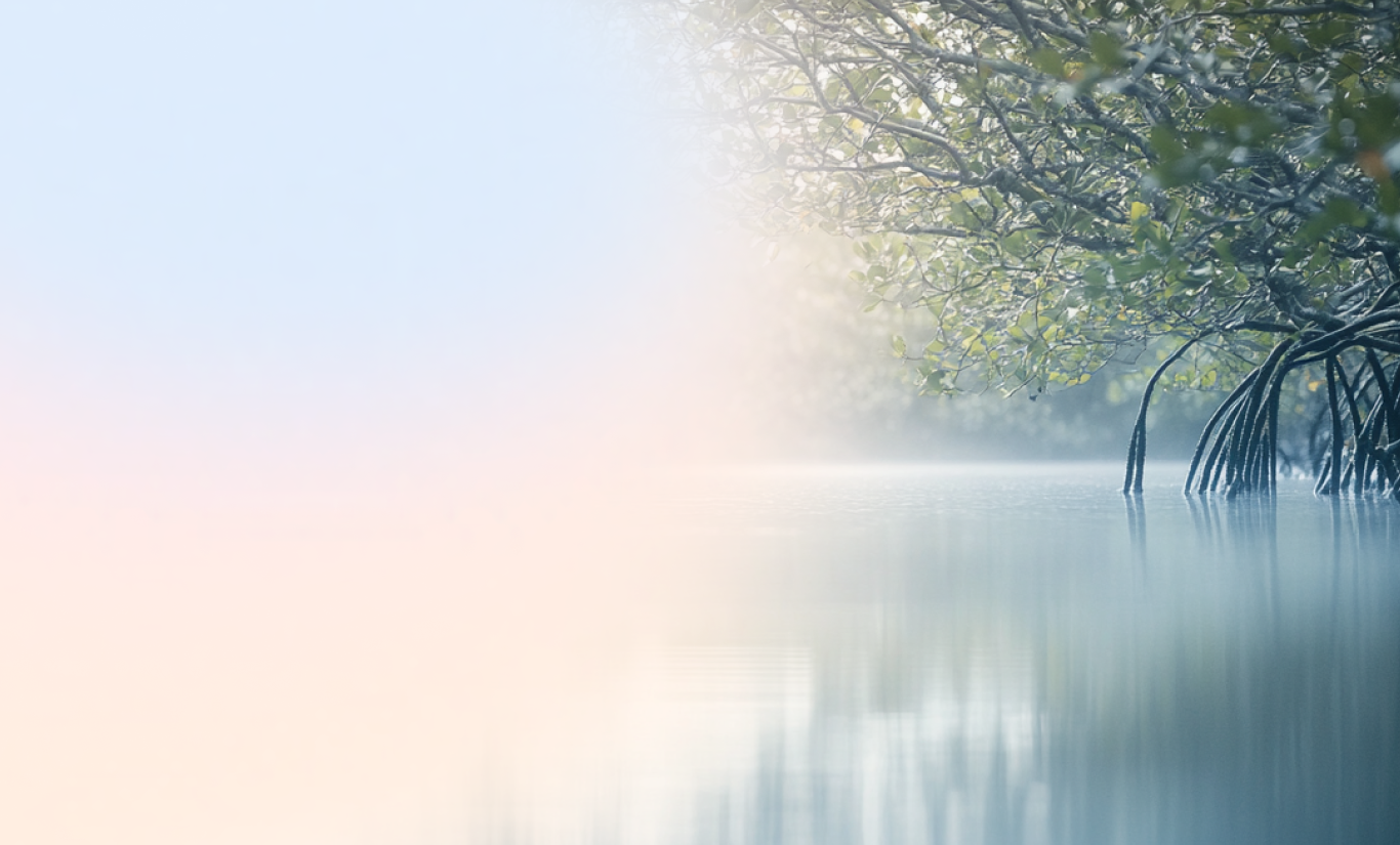 Consulting for Good | Our ESG Approach