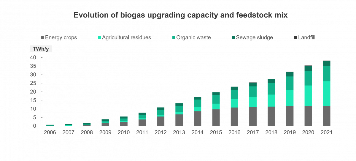 Evolution of biogas upgrading capacity and feedstock mix