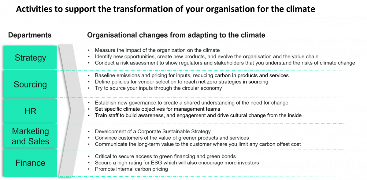 Organisational changes from adapting to the environment