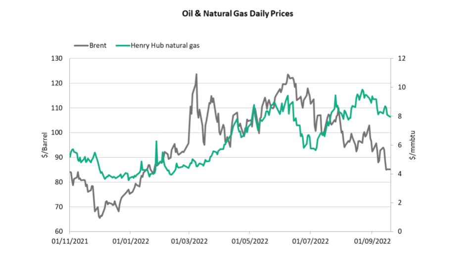 Oil & Natural Gas daily prices