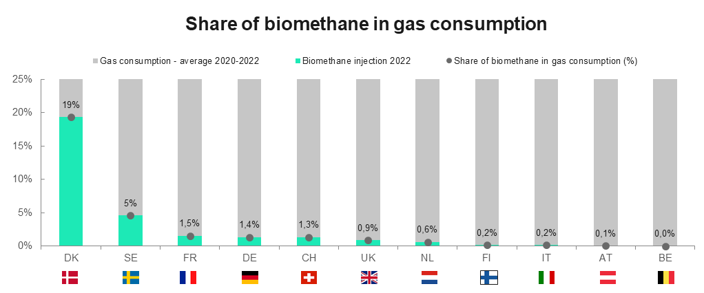 Share of biomethane in gas consumption