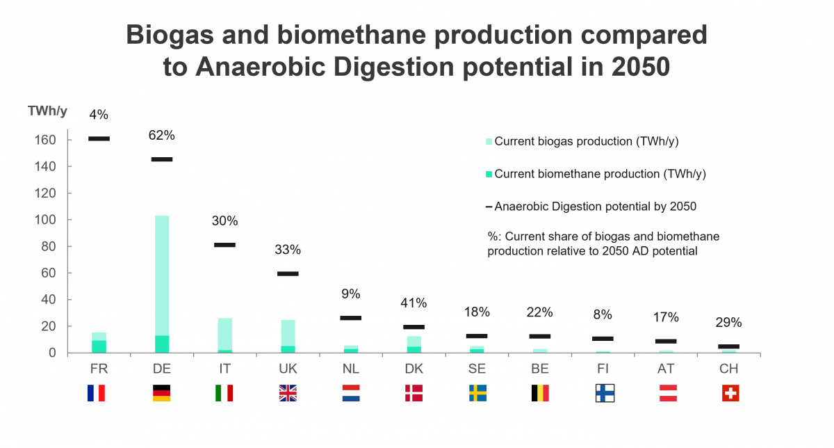 Biogas and biomethane production compared to AD 2050 potential