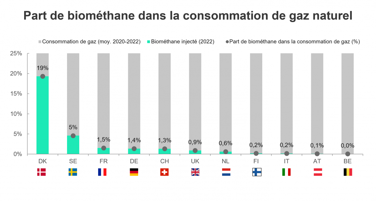 Part de biométhane dans la consommation de gaz naturel