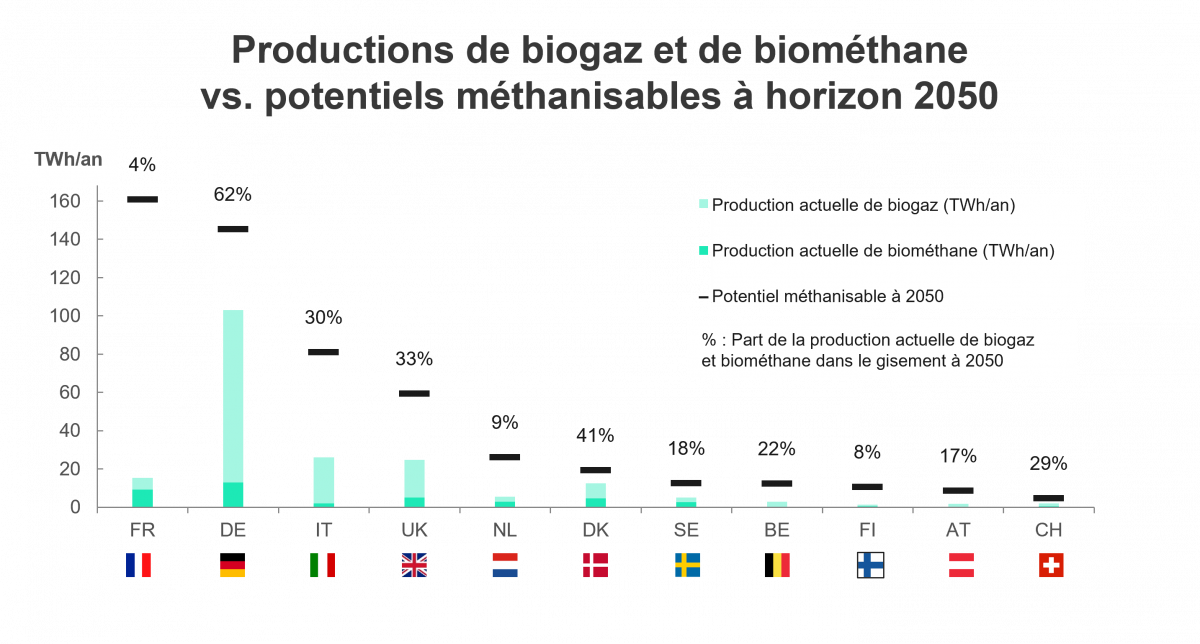 Production de biogaz et de biométhane vs potentiels méthanisables à l'horizon 2050