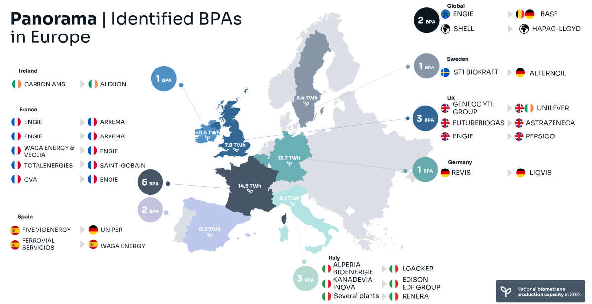 Panorama | Identified BPAs in Europe