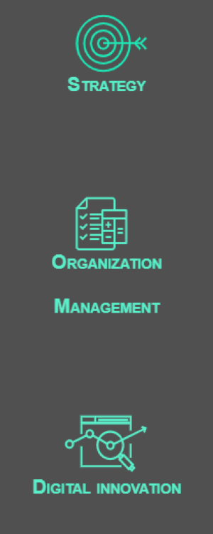 Strategy, organization management and digital innovation