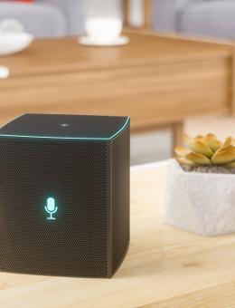 une smart box sur une table avec une plante à coté