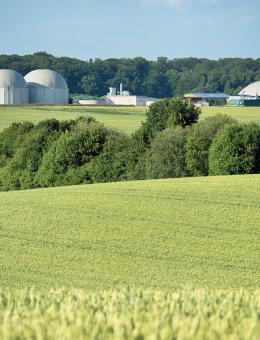 La-biomasse-et-la-transition-énergétique-en-Outre-mer