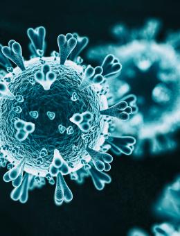 Covid 19 accélère la numérisation des services publics