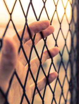 Impact of trafficking