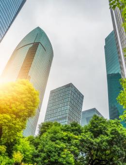 Skyscrapers behind trees, reflecting the sun