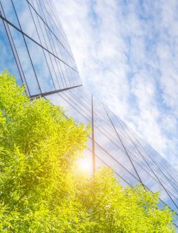 Building surrounded by greenery