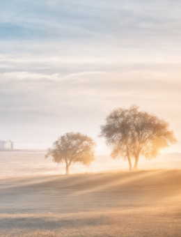 Countryside with a sunset