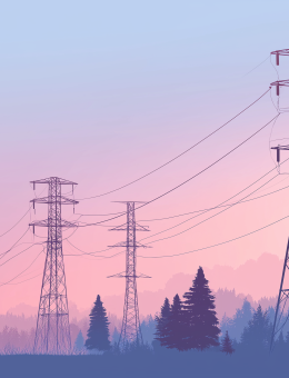 Electricity network 