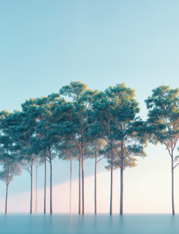 Sustainability Management
